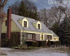 人人都爱雷蒙德 第九季