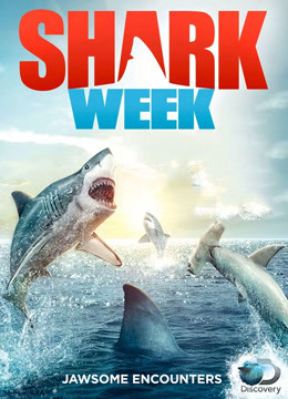鲨鱼周：核变怪鲨