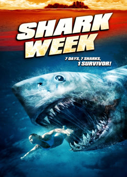 鲨鱼周：潜入鲨鱼城