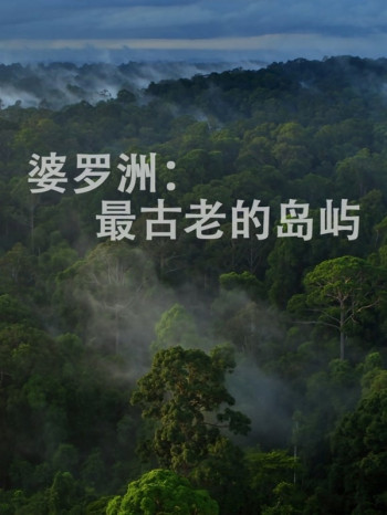 婆罗洲：最古老的岛屿