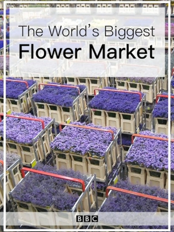 世界上最大的鲜花市场