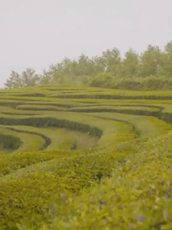 制作工厂,万物皆可制造