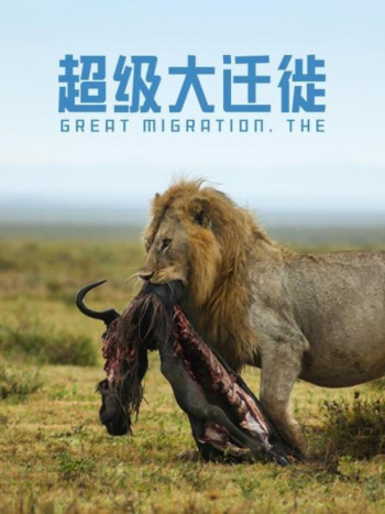 超级大迁徙