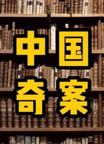 中国大案要案故事,每个故事都是根据真实案件改编