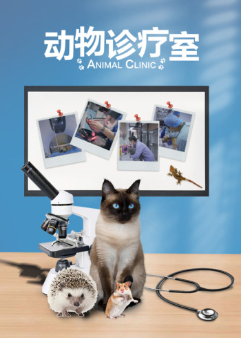 动物诊疗室