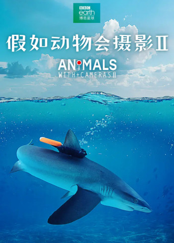 假如动物会摄影 第二季