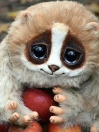 动物纪录片解说