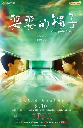 婆婆的镯子卫视版