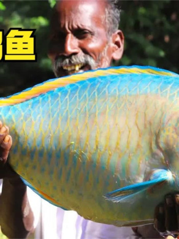 印度乡村美食纪录片