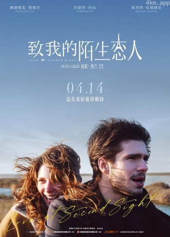 致我的陌生恋人