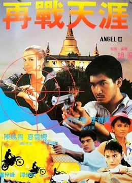 天使行动3：魔女末日粤语