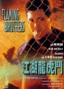 江湖龙虎斗粤语