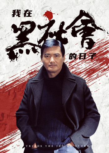 我在黑社会的日子