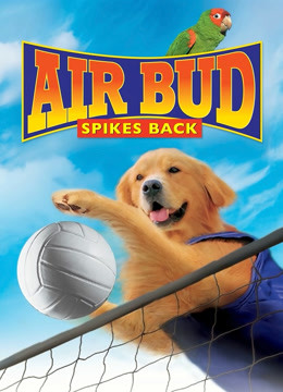 飞狗巴迪5:排球健将