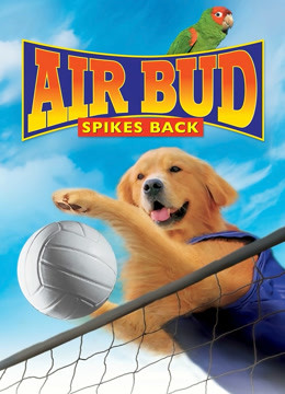 飞狗巴迪5：排球健将英语