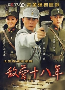 敌营十八年第1部