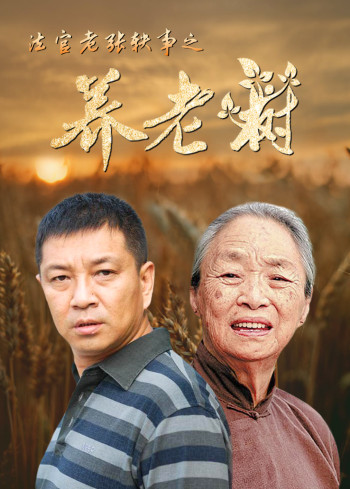 法官老张轶事之养老树