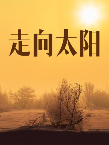 走向太阳