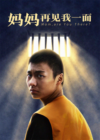 妈妈再见我一面