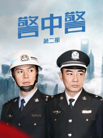 警中警第2部