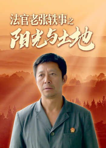 法官老张轶事之阳光与土地