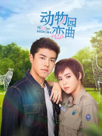 动物园恋曲DVD版