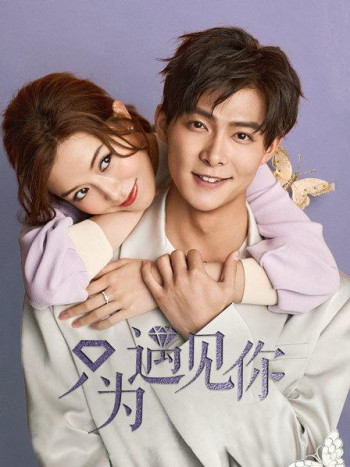 只为遇见你DVD版