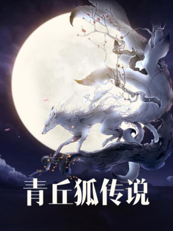 青丘狐传说DVD版