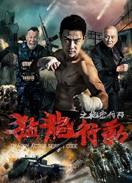 猛龙行动之绝密代码
