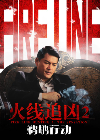 火线追凶2：鹈鹕行动