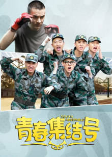 青春集结号DVD版