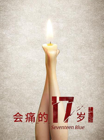 会痛的17岁精编版