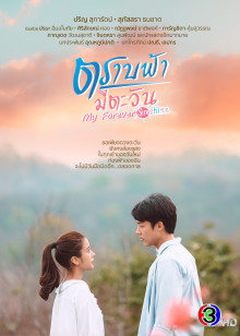 直到天空迎来太阳泰语