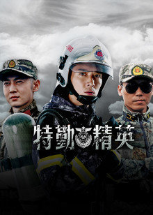 特勤精英DVD版