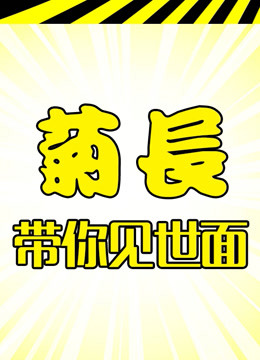 菊长带你见世面