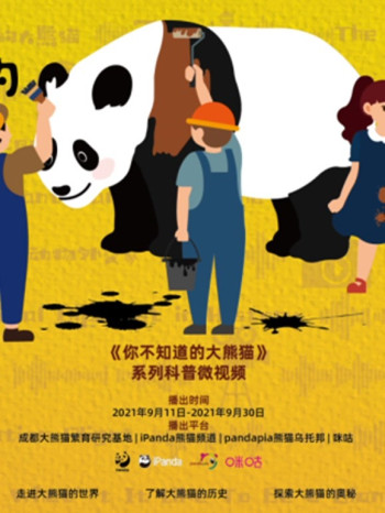 你不知道的大熊猫