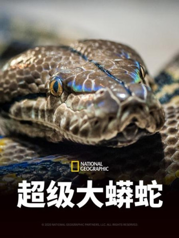 超级大蟒蛇