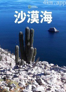 沙漠海 第一季