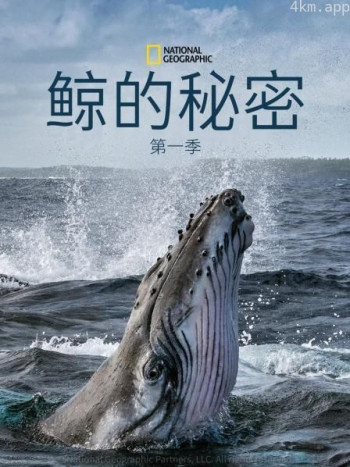 鲸的秘密 第一季
