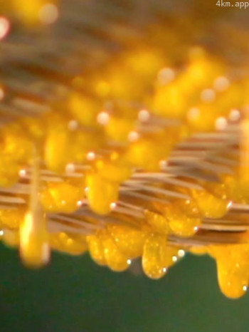 源味中国 第一季