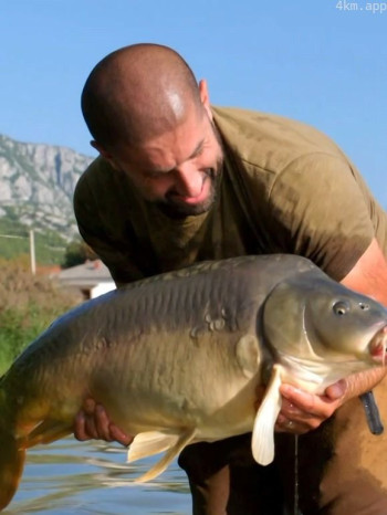 追捕巨鲤 第四季