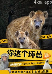 你这个坏怂普通话