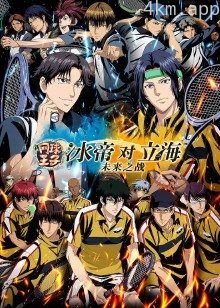 新网球王子冰帝vs立海