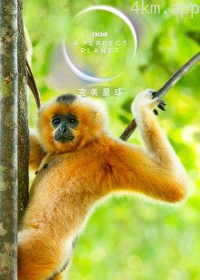 完美星球360VR版