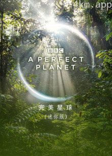 完美星球迷你版