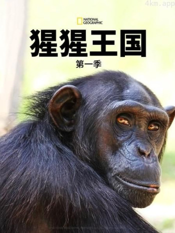 猩猩王国 第一季