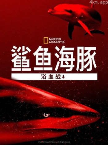鲨鱼海豚浴血战