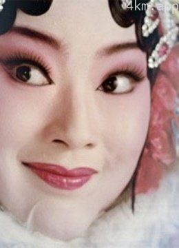 央视纪录频道绽放戛纳