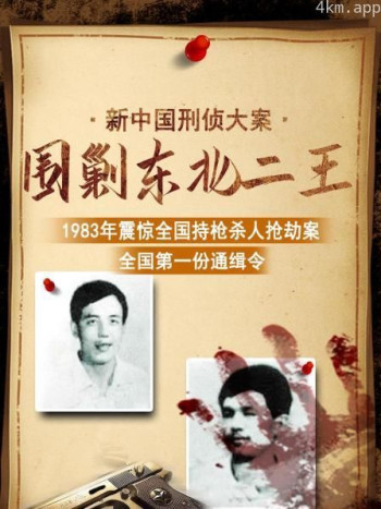 新中国刑侦大案：围剿东北二王