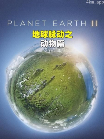 地球脉动之动物篇